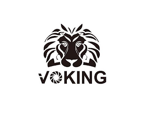 VOKING logo