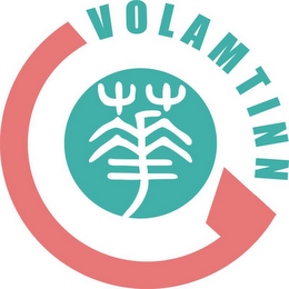 VOLAMTINN logo