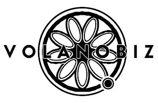 VOLANOBIZ logo