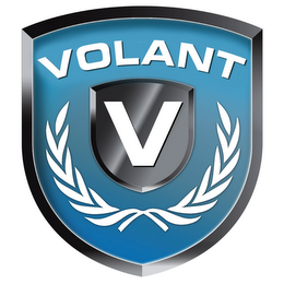 VOLANT V logo