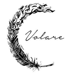 VOLARE logo