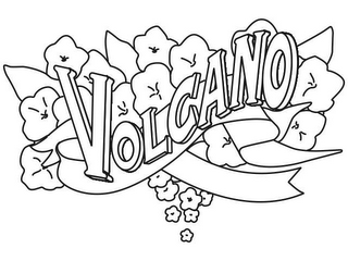VOLCANO logo