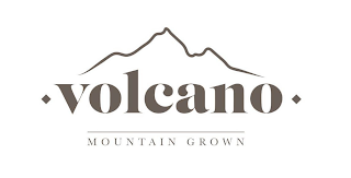 VOLCANO MOUNTAIN GROWN logo