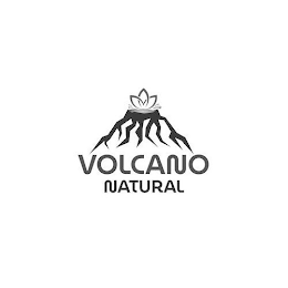 VOLCANO NATURAL logo