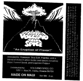 VOLCANO SPICE "AN ERUPTION OF FLAVOR" logo
