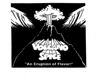 VOLCANO SPICE "AN ERUPTION OF FLAVOR!" logo