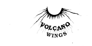 VOLCANO WINGS logo