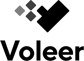 VOLEER logo
