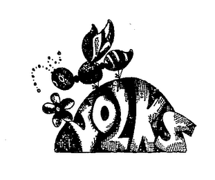 VOLKS logo