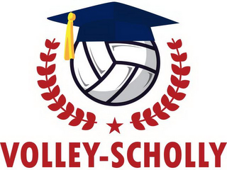 VOLLEY-SCHOLLY logo