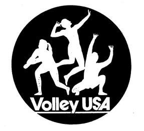 VOLLEY USA logo
