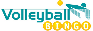 VOLLEYBALL BINGO logo