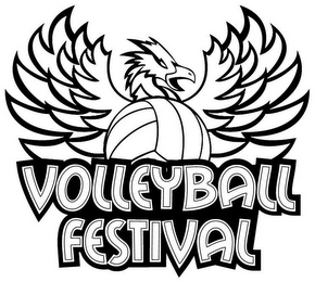 VOLLEYBALL FESTIVAL logo