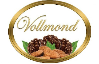 VOLLMOND logo