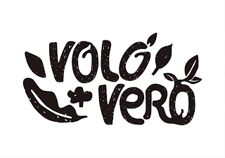 VOLO VERO logo