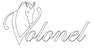 VOLONEL logo