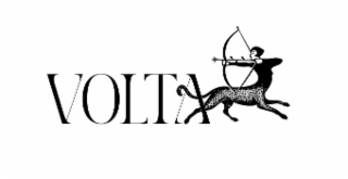 VOLTA logo