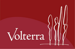 VOLTERRA logo