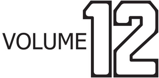 VOLUME 12 logo