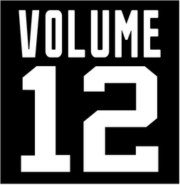VOLUME 12 logo