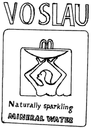 VOSLAU NATURALLY SPARKLING MINERAL WATER logo