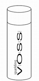 VOSS ARTESIAN WATER FROM NORWAY SPARKLING logo