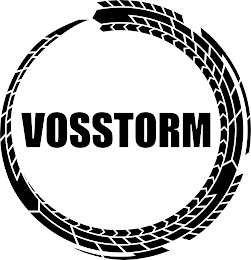VOSSTORM logo