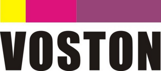 VOSTON logo