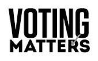 VOTING MATTERS logo
