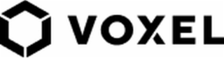 VOXEL logo