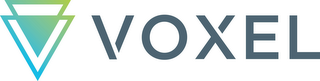 VOXEL V logo
