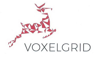 VOXELGRID logo