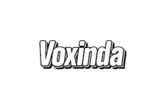 VOXINDA logo