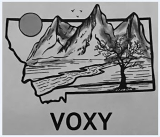 VOXY logo