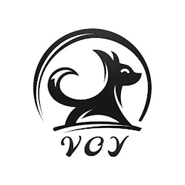 VOY logo