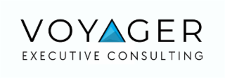 VOYAGER EXECUTIVE CONSULTING logo