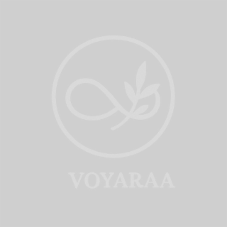 VOYARAA logo