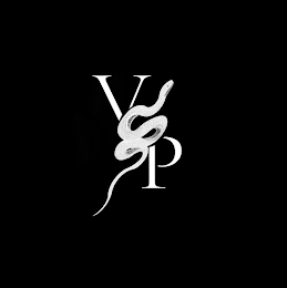VP logo