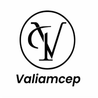 VP VALIAMCEP logo