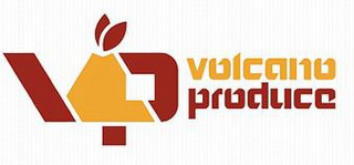 VP VOLCANO PRODUCE logo