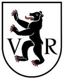 VR logo