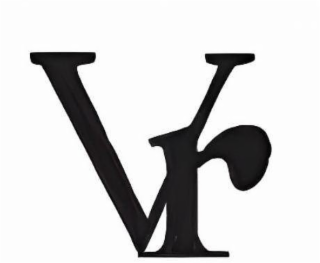 VR logo