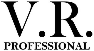V.R. PROFESSIONAL logo