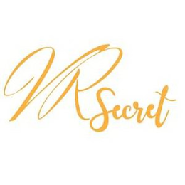 VR SECRET logo