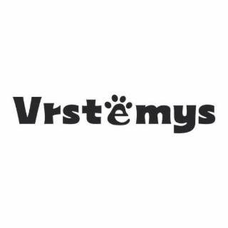 VRSTEMYS logo