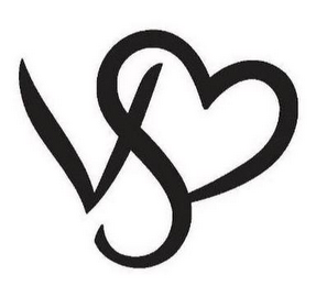 VS logo