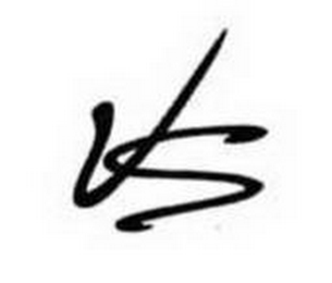 VS logo