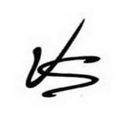VS logo