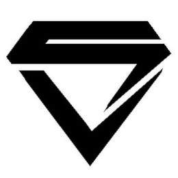 VS logo