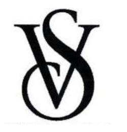 VS logo